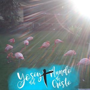 Meet your Posher, Lucia